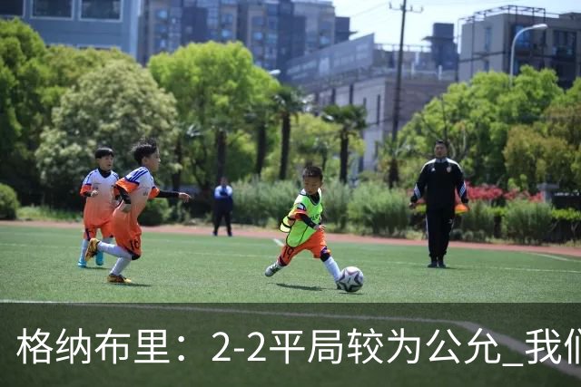 格纳布里：2-2平局较为公允 我们绝不应以防守反击为主